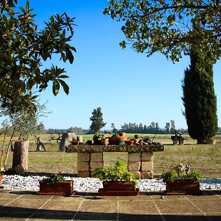 Maison Catalano Villa Castellaneta Marina Luaran gambar