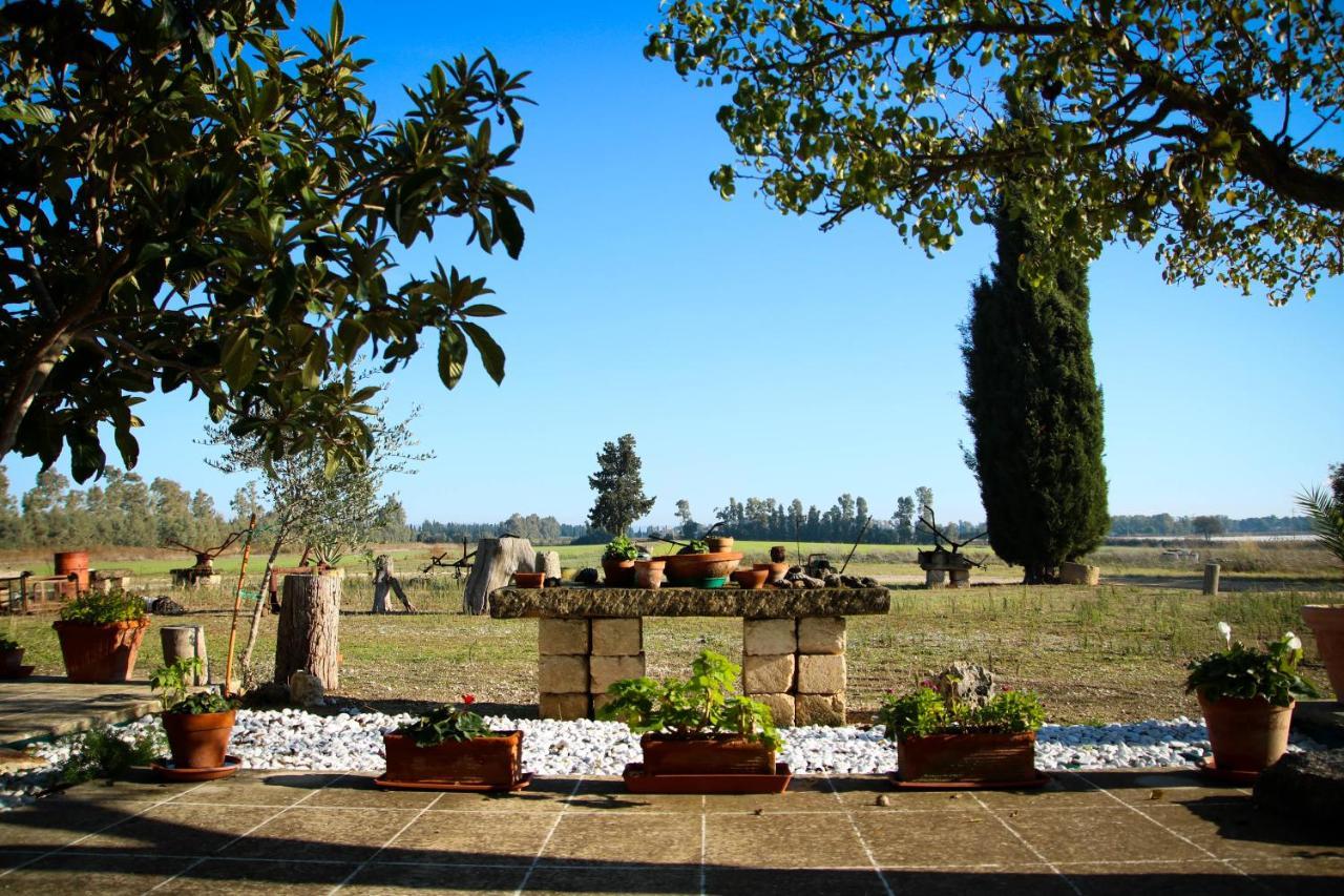 Maison Catalano Villa Castellaneta Marina Luaran gambar